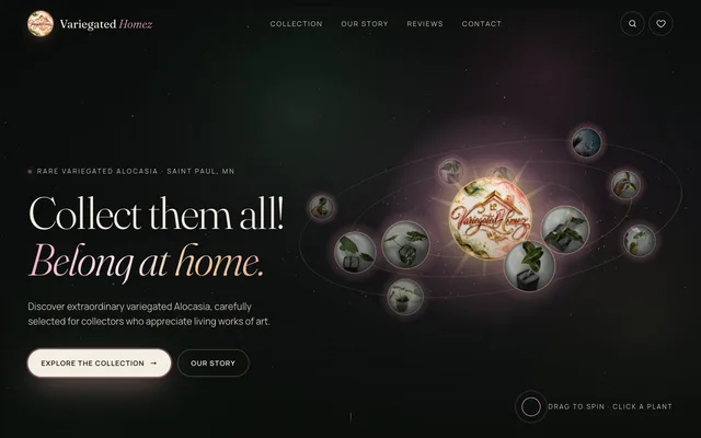 Variegated Homez website homepage